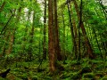 中交集团被约谈，行业监管与责任担当的双重考验，中交集团面临约谈，行业监管与责任担当的双重考验