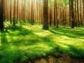 彩铃顶流歌手欢子回应隐身十年，欢子隐身十年后再次发声，彩铃顶流歌手的回归