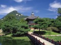政府68亿出手助力，中国第一高楼迎来转机，政府68亿助力，中国第一高楼迎来转机