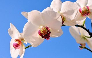 {红包云端秒抢}（{微信云端防撤回}）建议，微信红包云端秒抢与防撤回功能双管齐下