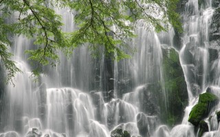 红包云端秒抢（微信云端防撤回）红包云端秒抢，微信云端防撤回技术解析