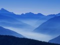 佛山基孔肯雅热病例激增，累计确诊超4000例，佛山基孔肯雅热病例激增，累计确诊超4000例