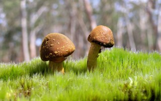 蔡依林已冻卵，暂无生小孩计划，蔡依林已冻卵，暂无生育计划